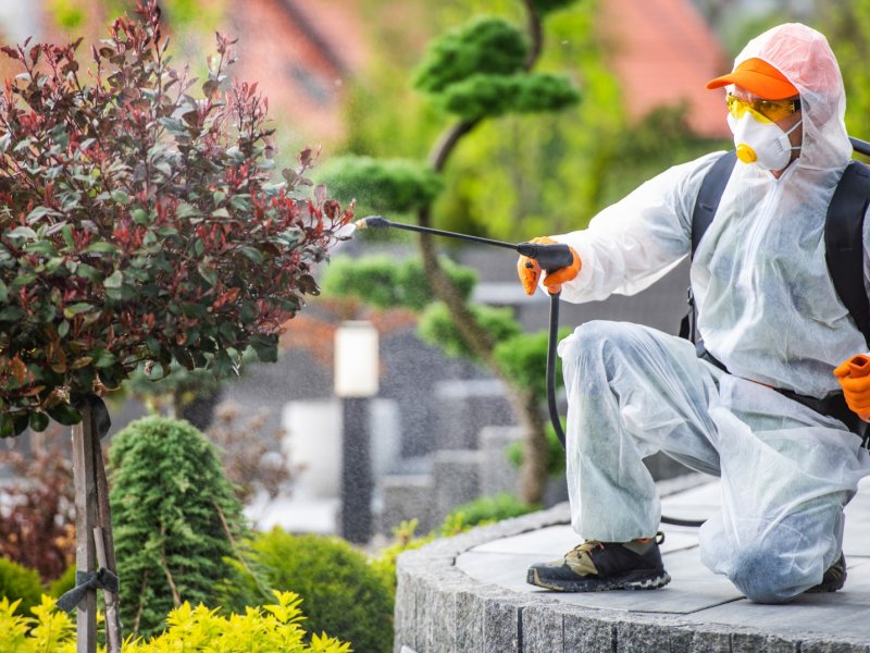 Dilovası Haşere İlaçlama