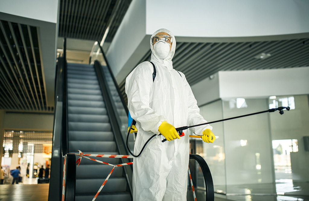 Dilovası Haşere İlaçlama